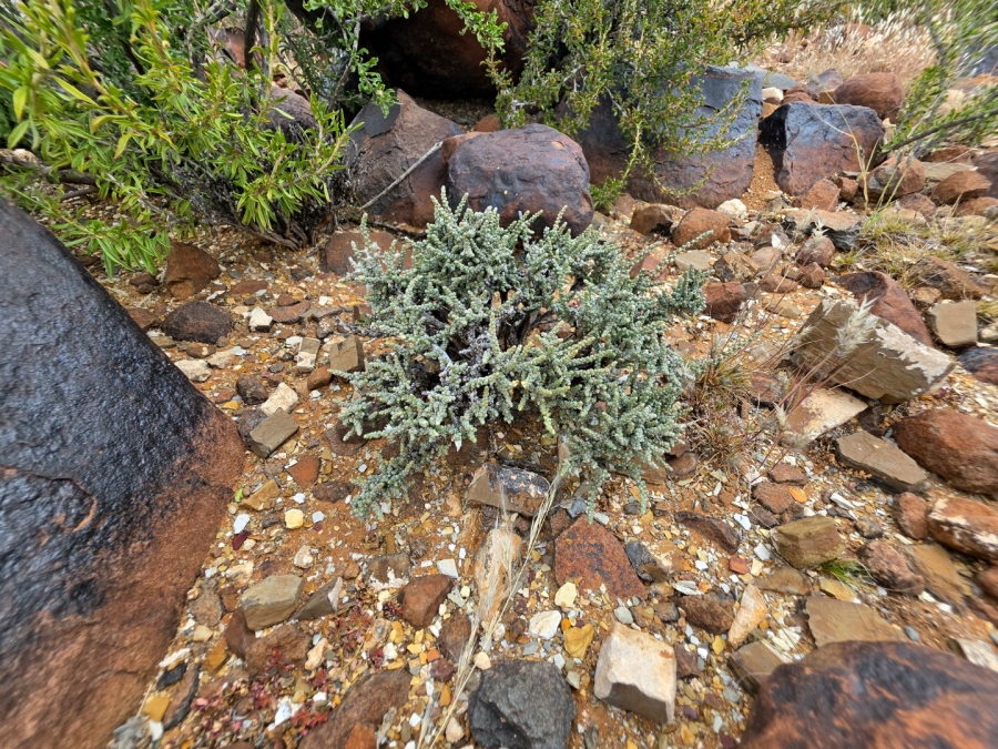 Commercial Property for Sale in Carnarvon Rural Northern Cape